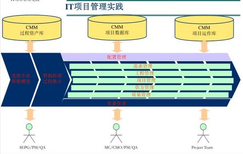 软件外包项目的有效管理 策略、流程与挑战
