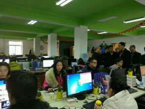 保定地区网店托管专业服务商推荐 一托无忧，五年运营保障与软件外包服务解析