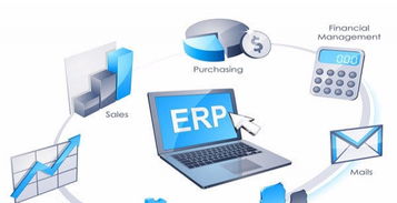 上海软件服务外包 专业定制，助力企业数字化转型